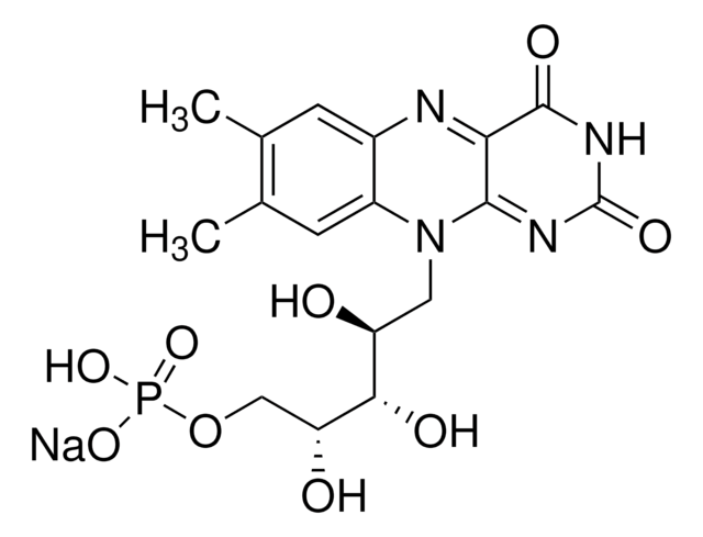 Riboflavin Sodium Phosphate Hydrate tested according to Ph. Eur.