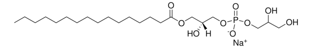 16:0 リゾPG 1-palmitoyl-2-hydroxy-sn-glycero-3-phospho-(1&#8242;-rac-glycerol) (sodium salt), powder