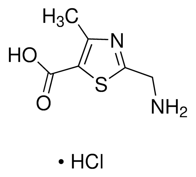 2-(Aminomethyl)-4-methyl-1,3-thiazole-5-carboxylic acid hydrochloride