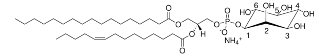 17:0-14:1 PI Avanti Research&#8482; - A Croda Brand LM1504, methanol solution