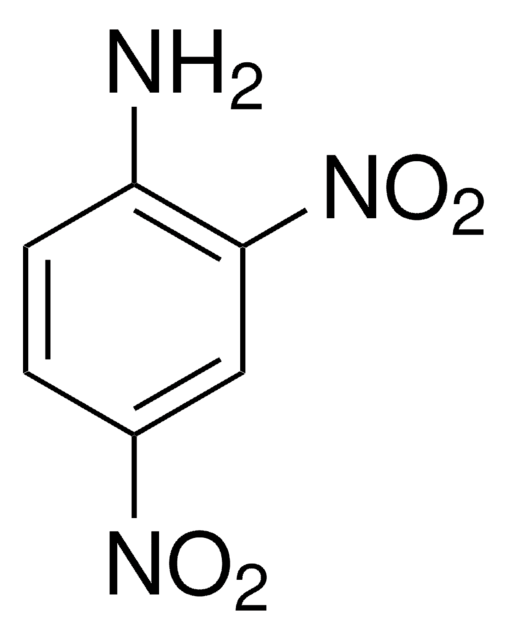 2,4-Dinitroaniline 98%