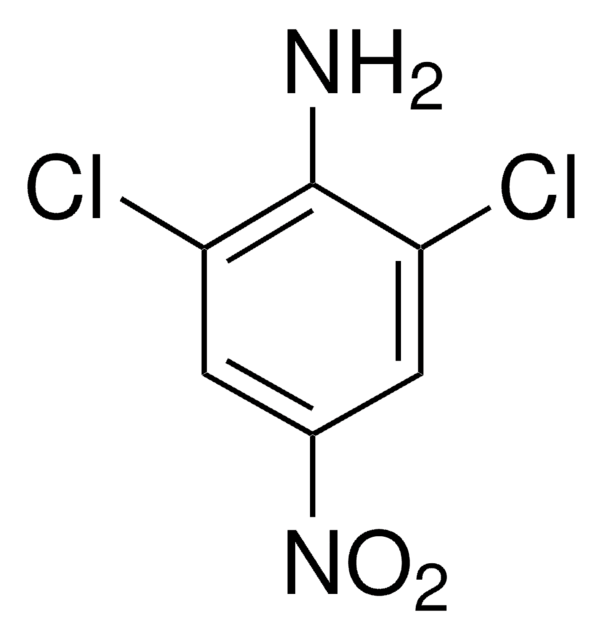 2,6-Dichloro-4-nitroaniline 96%