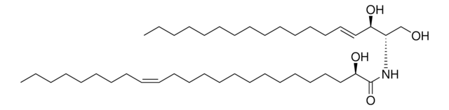 24:1(2R-OH) Ceramide Avanti Research&#8482; - A Croda Brand 860825P, powder