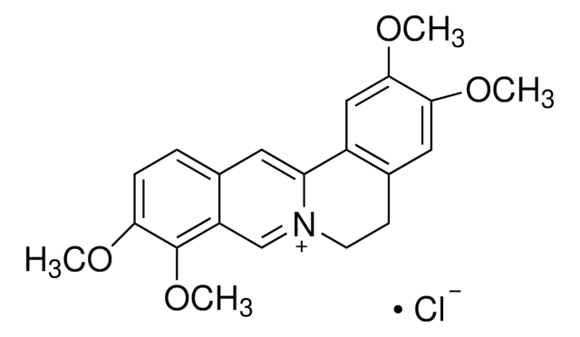 Palmatine chloride British Pharmacopoeia (BP) Reference Standard