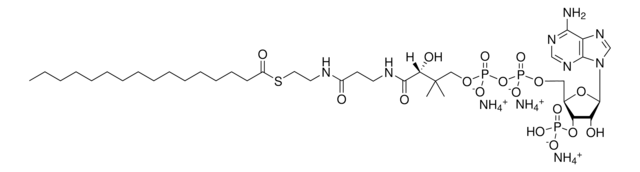 16:0 Coenzyme A Avanti Research&#8482; - A Croda Brand 870716P, powder