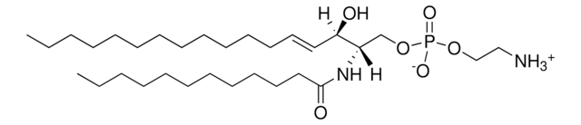 C12 Sphingosyl PE (d17:1/12:0) Avanti Research&#8482; - A Croda Brand 860529P, powder