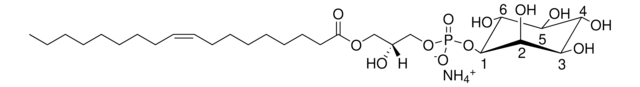 18:1 Lyso PI 1-oleoyl-2-hydroxy-sn-glycero-3-phospho-(1&#8242;-myo-inositol) (ammonium salt), powder