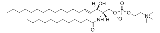 12:0 SM (d18:1/12:0) Avanti Research&#8482; - A Croda Brand 860583P, powder