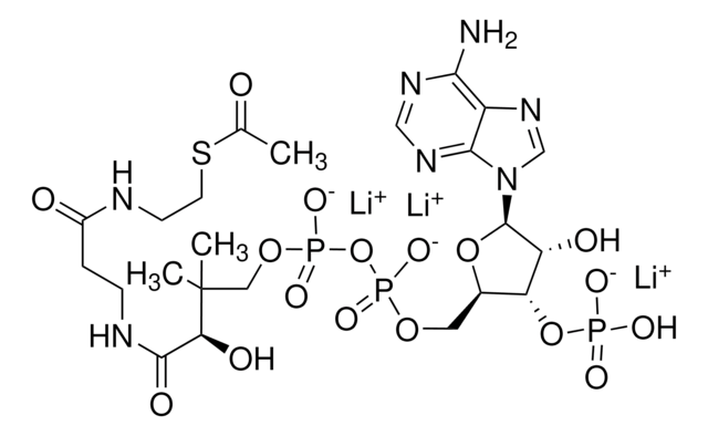 アセチルコエンザイムA リチウム塩 &#8805;93% (HPLC)