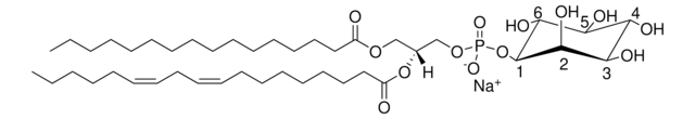 Soy PI Avanti Research&#8482; - A Croda Brand 840044C