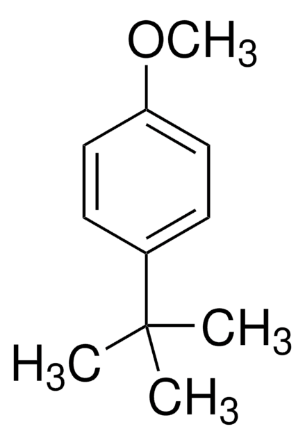 4-tert-Butylanisole 97%