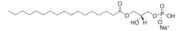 17:0 Lyso PA 1-heptadecanoyl-2-hydroxy-sn-glycero-3-phosphate (sodium salt), powder