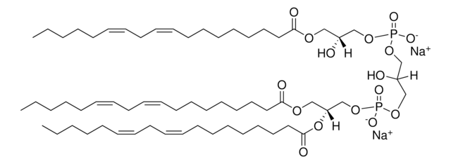 Monolyso Heart CA Avanti Research&#8482; - A Croda Brand 850081P, powder