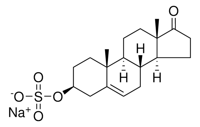 DHEA sulfate Avanti Research&#8482; - A Croda Brand