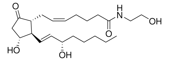 PGE2-EA powder