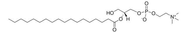 2-18:0 Lyso PC Avanti Research&#8482; - A Croda Brand 855774P, powder