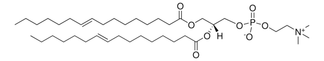 16:1 (&#916;9-Trans) PC 1,2-dipalmitelaidoyl-sn-glycero-3-phosphocholine, powder