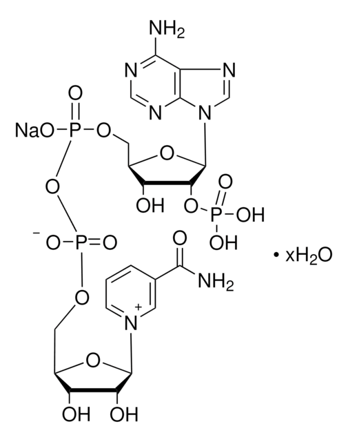 &#946;-ニコチンアミドアデニンジヌクレオチドリン酸 ナトリウム塩 pkg of 10&#160;mg (per vial)