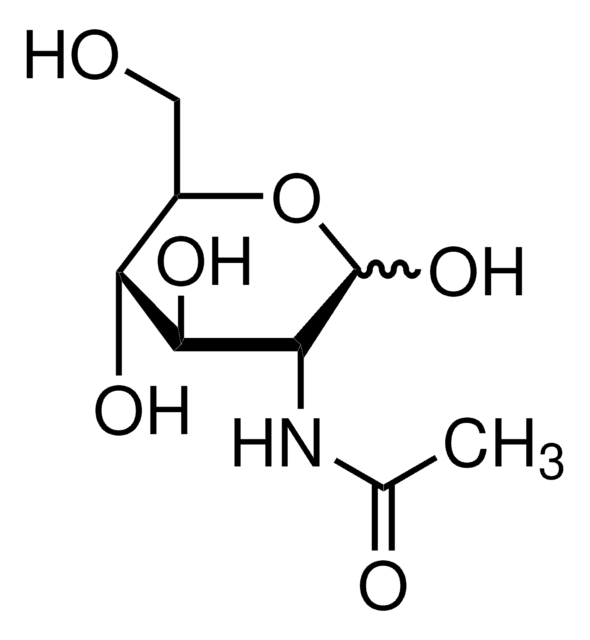 N-Acetyl-D-glucosamine–Agarose saline suspension