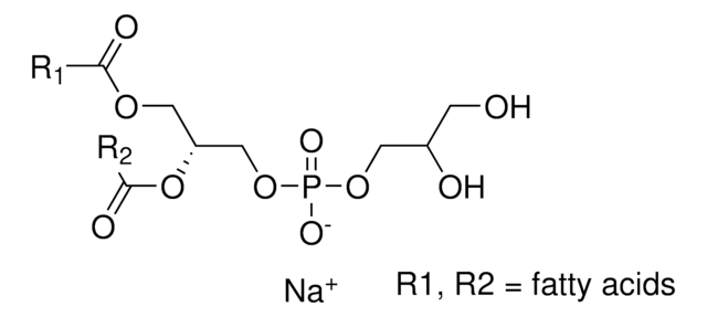 L-&#945;-Phosphatidyl-DL-glycerol sodium salt from egg yolk lecithin &#8805;99% (TLC), lyophilized powder