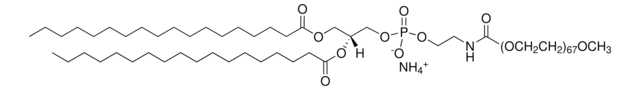 18:0 PEG3000 PE Avanti Research&#8482; - A Croda Brand 880320C