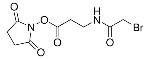 SBAP (succinimidyl 3-(bromoacetamido)propionate)