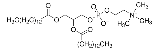 1,2-Dimyristoyl-rac-glycero-3-phosphocholine &#8805;99%