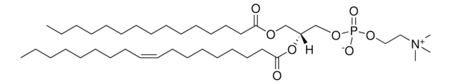 15:0-18:1 PC Avanti Research&#8482; - A Croda Brand