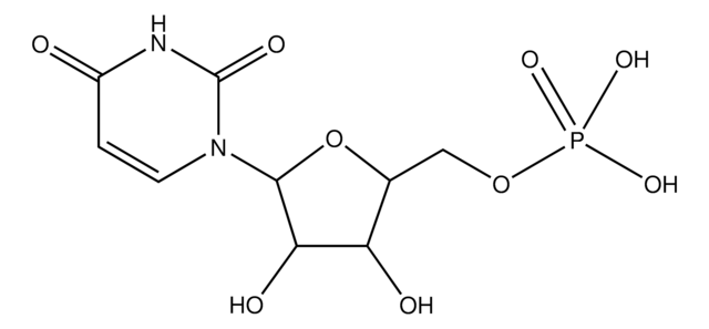 Uridine 5&#8242;-monophosphate &#8805;98%