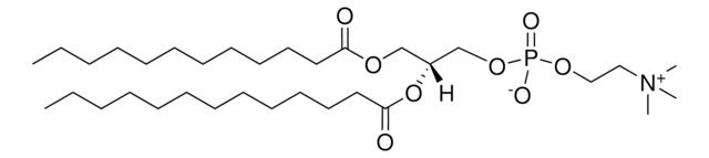 12:0-13:0 PC Avanti Research&#8482; - A Croda Brand LM1000, methanol solution