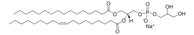 16:0-18:1 PG Avanti Research&#8482; - A Croda Brand