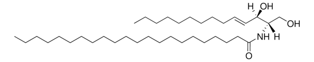 C22 Ceramide (d14:1/22:0) Avanti Research&#8482; - A Croda Brand, powder