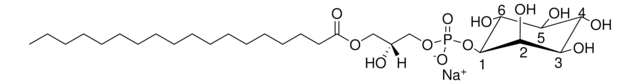 Liver Lyso PI Avanti Research&#8482; - A Croda Brand 850091P, powder