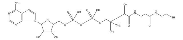 3&#8242;-Dephosphocoenzyme A &#8805;90% (HPLC)