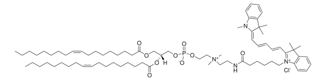 18:1 Cyanine 5 PC Avanti Research&#8482; - A Croda Brand