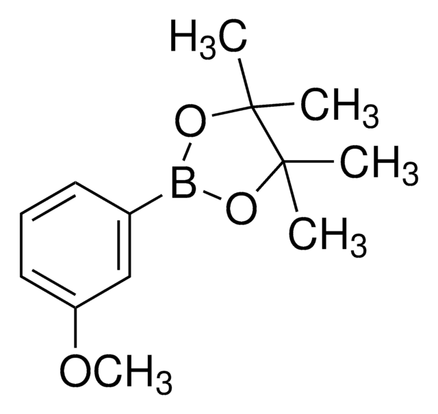 3-Methoxyphenylboronic acid pinacol ester