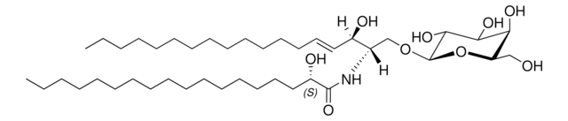 C18(2S-OH) Galactosyl(&#946;) Ceramide Avanti Research&#8482; - A Croda Brand