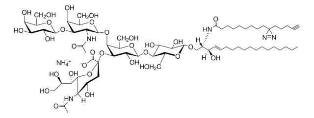 PhotoClick GM1 (synthetic) Avanti Research&#8482; - A Croda Brand