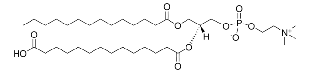 14:0-14:0(COOH) PC Avanti Research&#8482; - A Croda Brand 880347P, powder