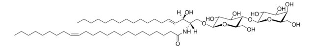 C24:1 Lactosyl(&#946;) Ceramide (d18:1/24:1) Avanti Research&#8482; - A Croda Brand 860597P, powder