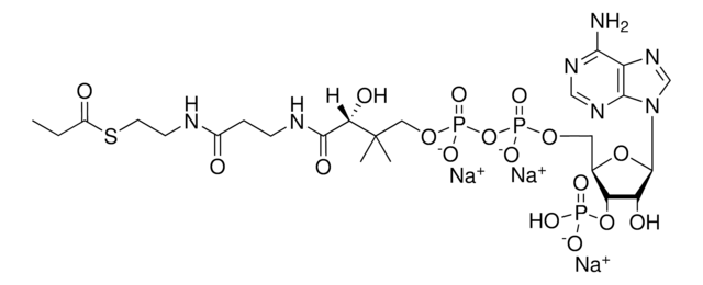 03:0 Coenzyme A Avanti Research&#8482; - A Croda Brand 870703P, powder