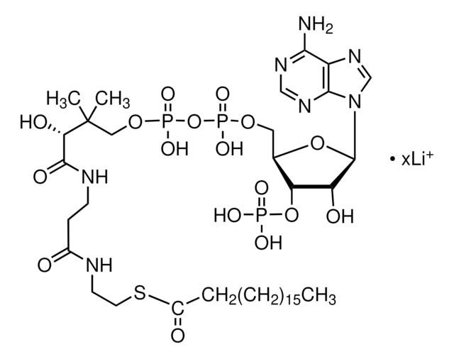 Stearoyl coenzyme A lithium salt &#8805;90%