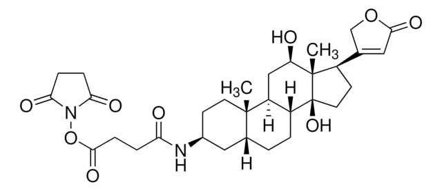 3-Amino-3-deoxydigoxigenin hemisuccinamide, succinimidyl ester