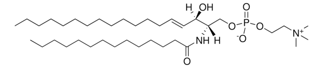 14:0 SM (d18:1/14:0) Avanti Research&#8482; - A Croda Brand 860688P, powder