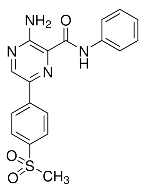 ATR Inhibitor IV