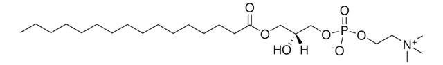 卵リゾPC Avanti Research&#8482; - A Croda Brand 830071P, powder