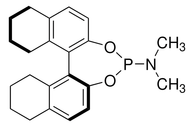 (11bS)-N,N-dimethyl-8,9,10,11,12,13,14,15-octahydrodinaphtho[2,1-d:1&#8242;,2&#8242;-f][1,3,2]dioxaphosphepin-4-amine