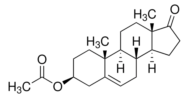 Dehydroisoandrosterone 3-acetate 97%