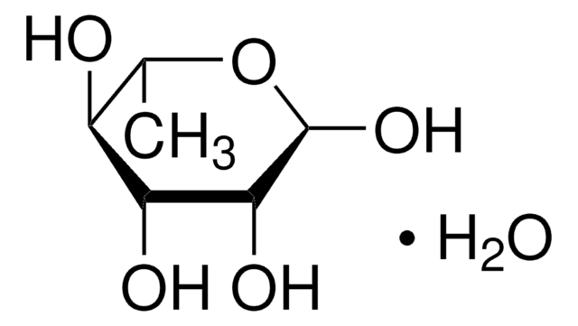 L-ラムノース 一水和物 &#8805;99%