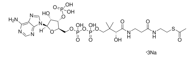 アセチル補酵素A 三ナトリウム塩 &#8805;93% (HPLC), powder